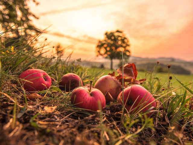 Weinbau & Mosterei Hablützel